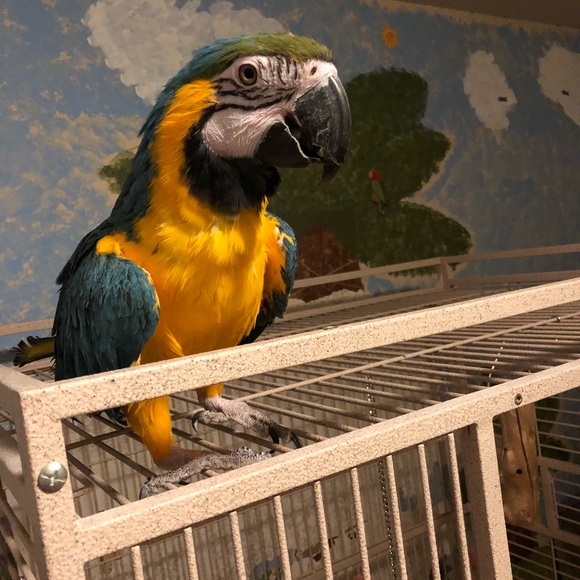 Meet your Posher, Susan - Picture 2 of 2